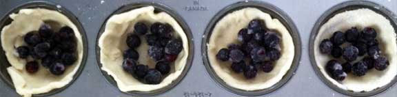 SaskatoonBerryButterTart_1