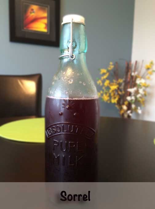 MishMash Globe | Sorrel