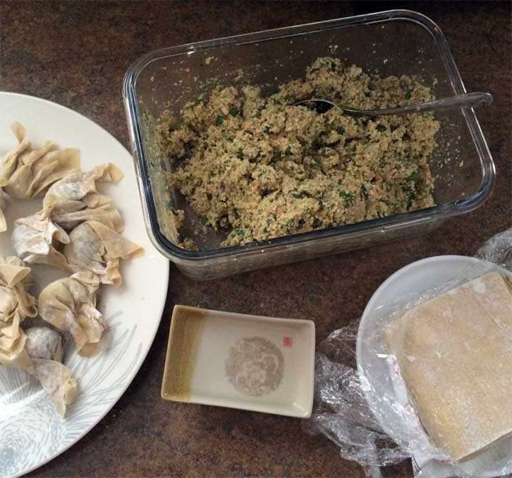 MishMash Globe | Vegetarian Wonton